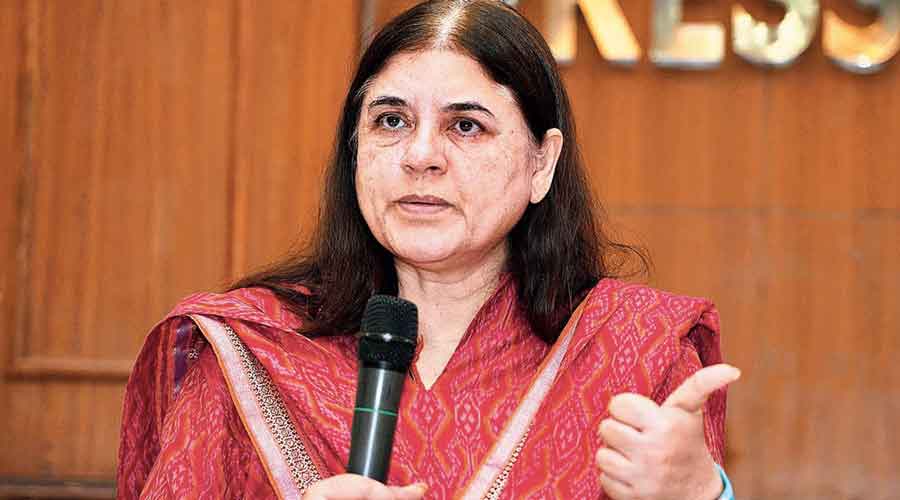  Maneka Gandhi   Height, Weight, Age, Stats, Wiki and More